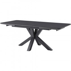 Rayna Extn Dining Table